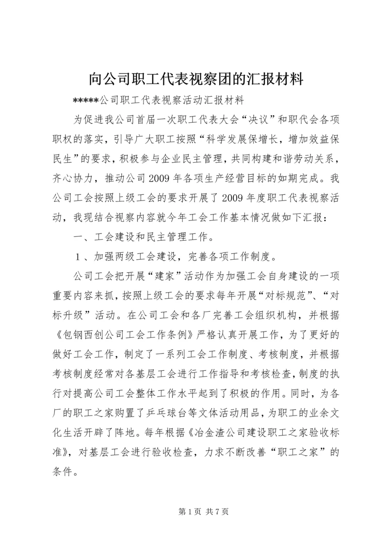 向公司职工代表视察团的汇报材料 (3).docx