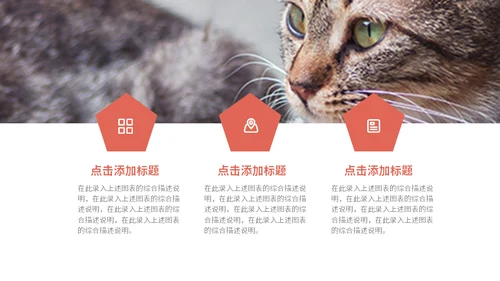 宠物乐园萌宠猫咪主题通用PPT模板
