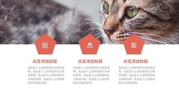 宠物乐园萌宠猫咪主题通用PPT模板