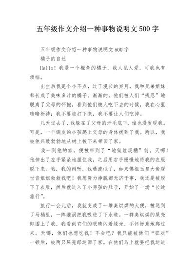 五年级作文介绍一种事物说明文500字.docx