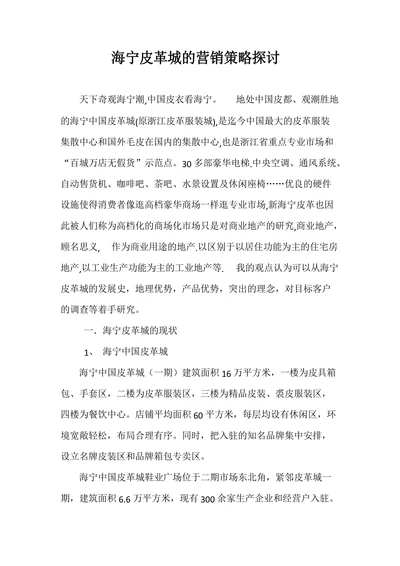 海宁皮革城的营销策略探讨