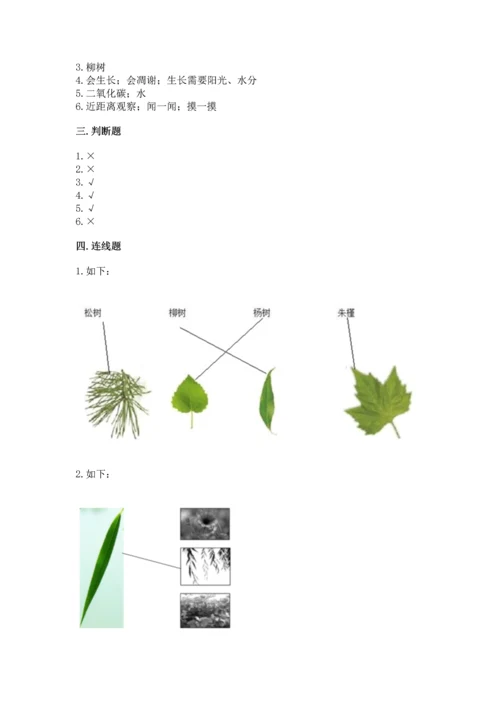 教科版科学一年级上册第一单元《植物》测试卷含答案（满分必刷）.docx