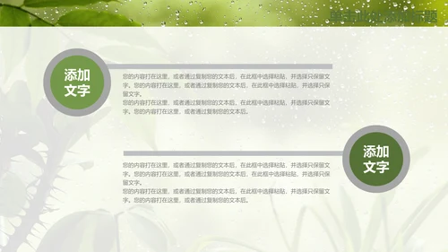绿叶夏日雨季通用PPT模板