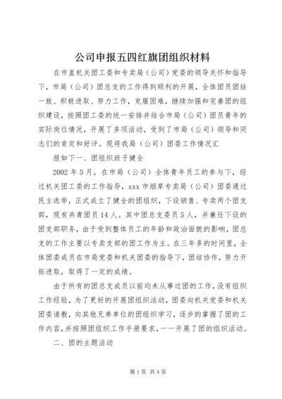 公司申报五四红旗团组织材料 (7).docx