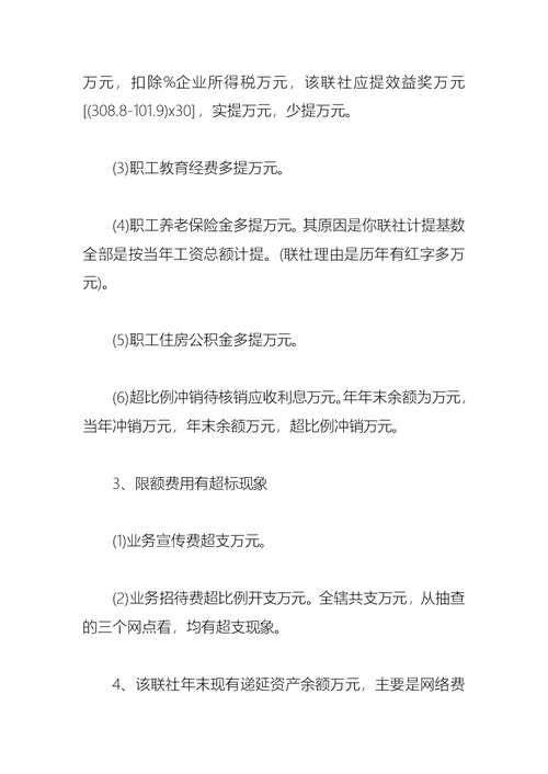 2021财务检查自查报告范文