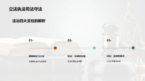 法治社会深度解析