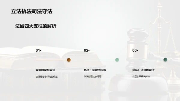 法治社会深度解析