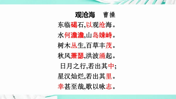 第一单元 复习课件(共75张PPT)