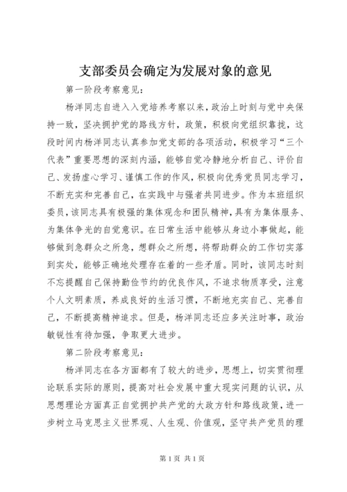 支部委员会确定为发展对象的意见.docx