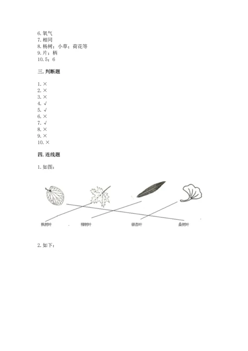 教科版一年级上册科学期末测试卷（达标题）.docx