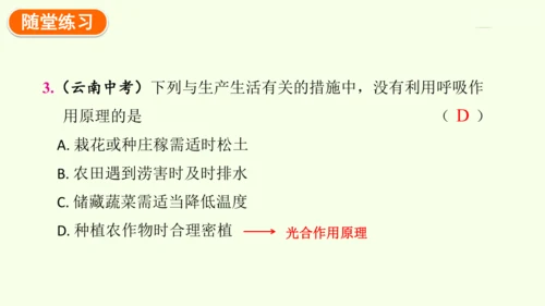 3.2.3呼吸作用-七年级生物下学期同步精品课件（2024人教版）(共24张PPT)