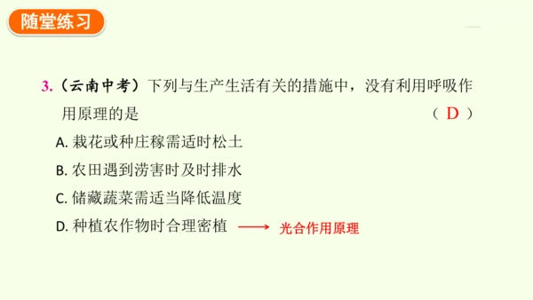 3.2.3呼吸作用-七年级生物下学期同步精品课件（2024人教版）(共24张PPT)