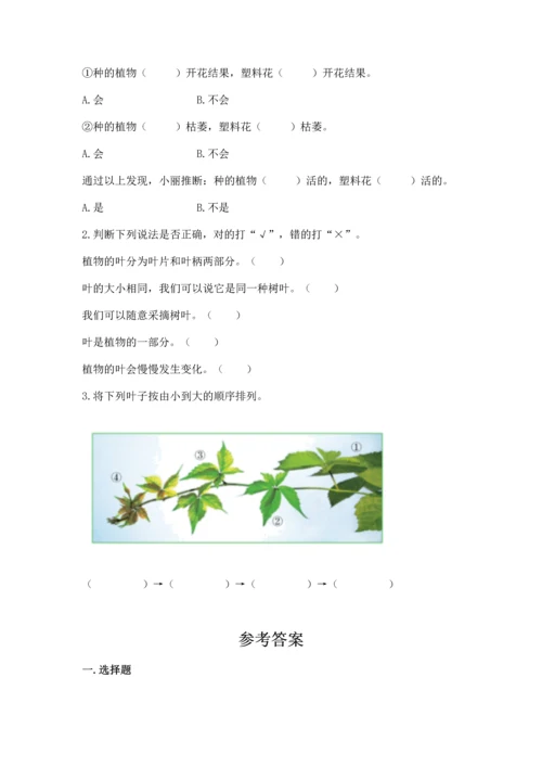 教科版科学一年级上册第一单元《植物》测试卷带答案（典型题）.docx