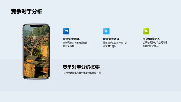 公司年度绩效回顾