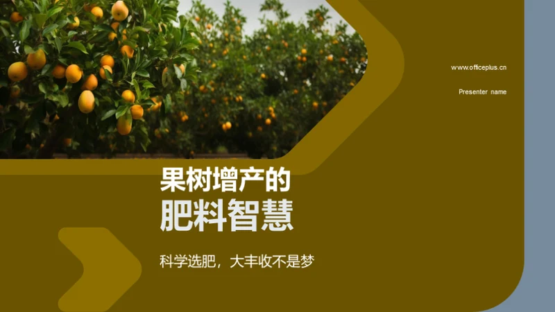 果树增产的肥料智慧