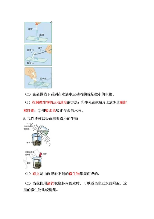 教科版六年级科学上册第一单元《微小世界》