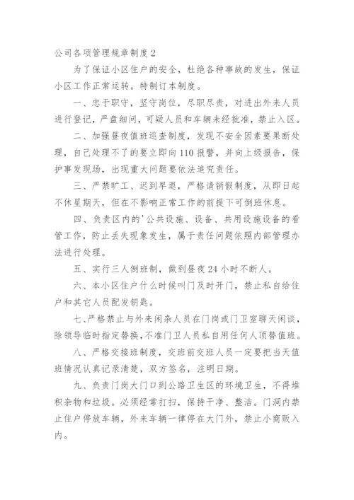 公司各项管理规章制度_1.docx