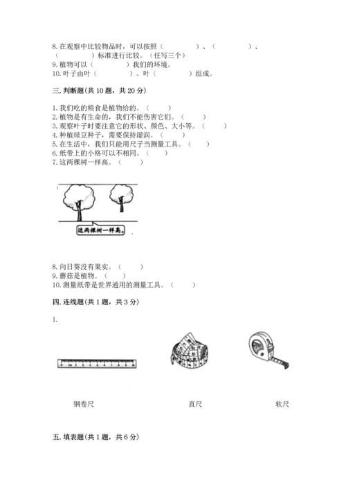教科版一年级上册科学期末测试卷精品【名师系列】.docx