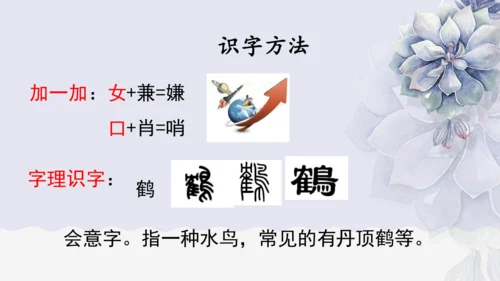 《1 白鹭》课件