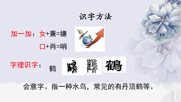 《1 白鹭》课件