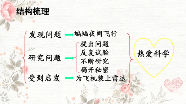 6夜间飞行的秘密  课件