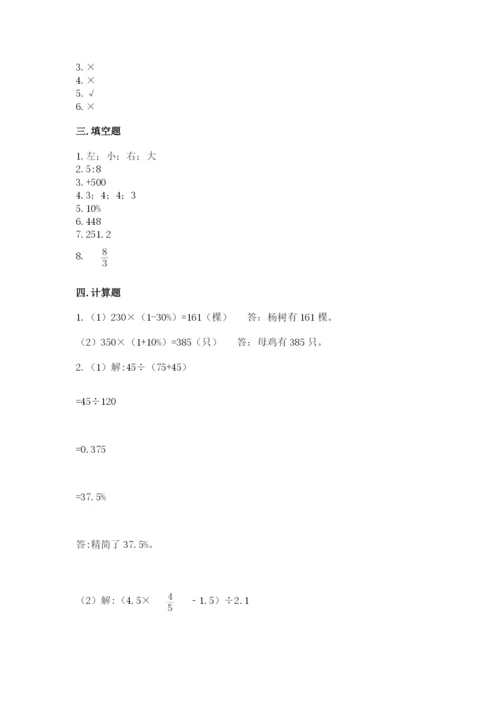 平果县六年级下册数学期末测试卷精品含答案.docx