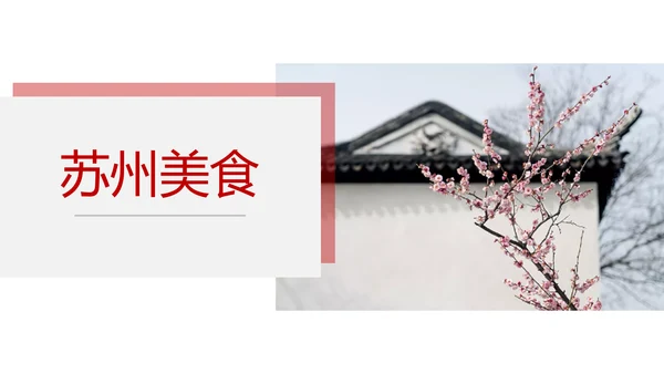 印象苏州旅游城市风光PPT模板