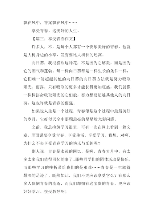 享受青春作文.docx