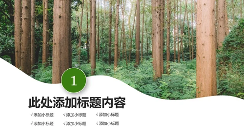 原始森林湿地植树造林森林环保PPT模板