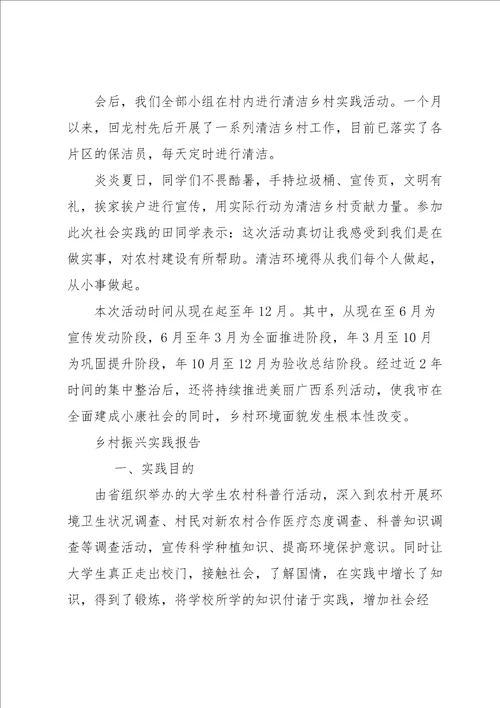 乡村振兴实践报告