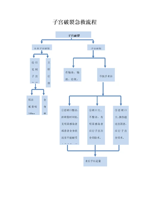 急救标准流程