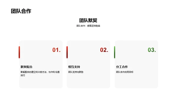 足球技巧演示与讲解