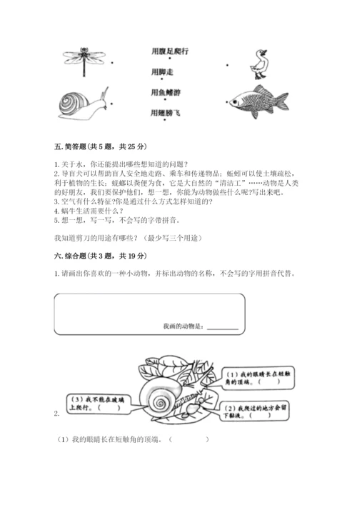 教科版一年级下册科学期末测试卷（黄金题型）.docx