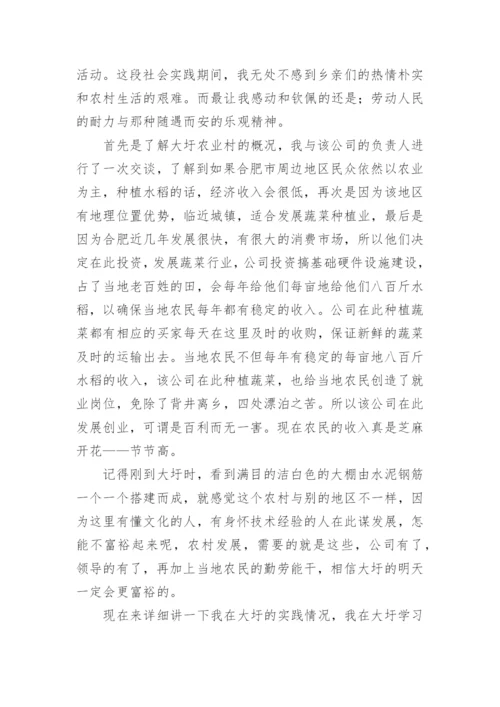 农村发展硕士实践报告.docx