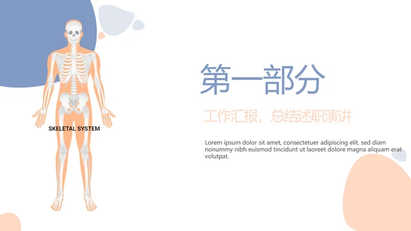 简约医疗骨骼肌肉系统动态PPT