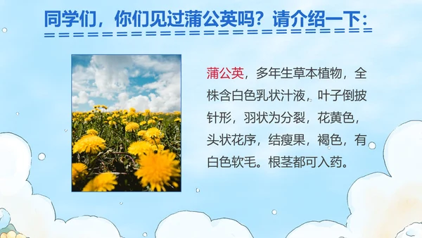 部编版三年级上册金色的草地课件PPT模板