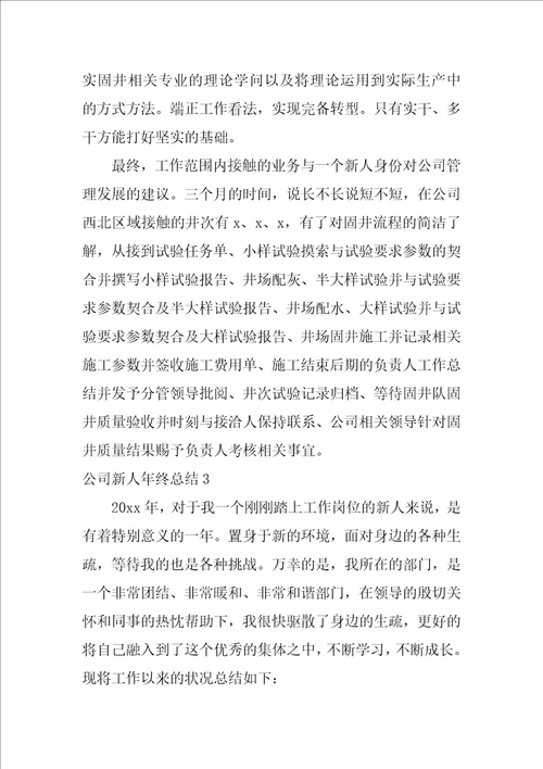 公司新人年终总结