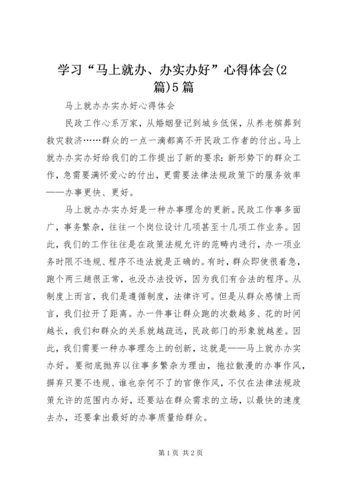 学习“马上就办、办实办好”心得体会(2篇)5篇 (4).docx