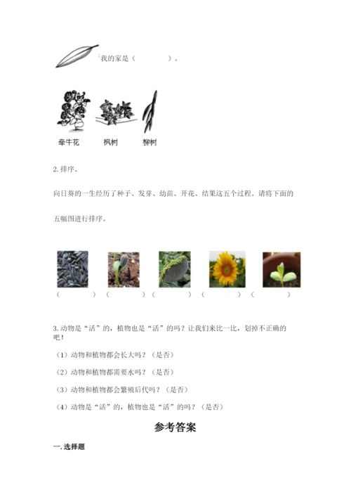 教科版一年级上册科学期末测试卷（综合卷）.docx