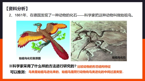 生命起源和生物进化企鹅通用PPT模板