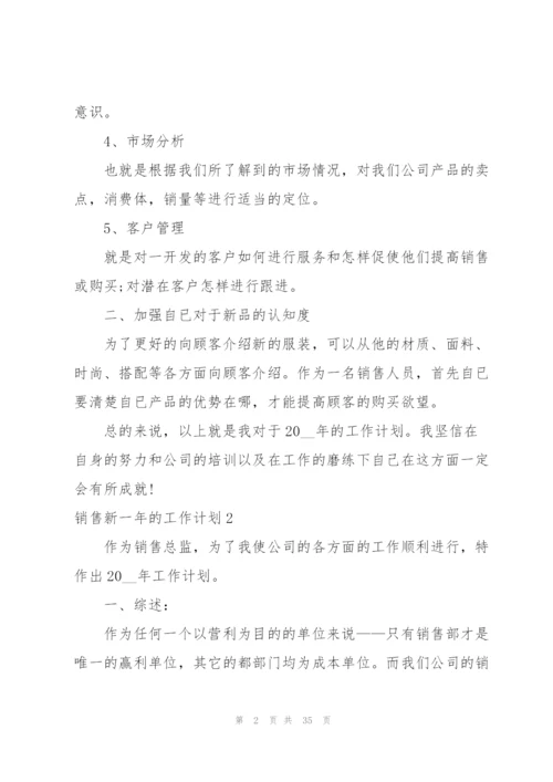 销售新一年的工作计划.docx