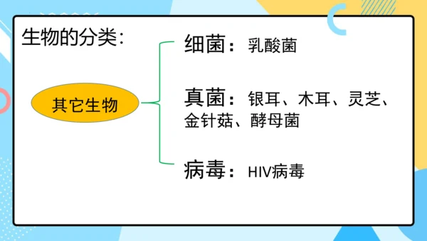1.1.1生物的特征课件人教版生物七年级上册课件(共29张PPT)