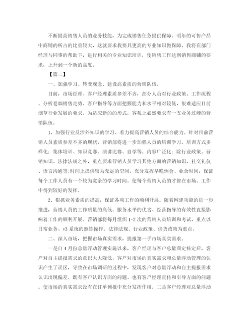 精编之销售总监工作计划范文2.docx