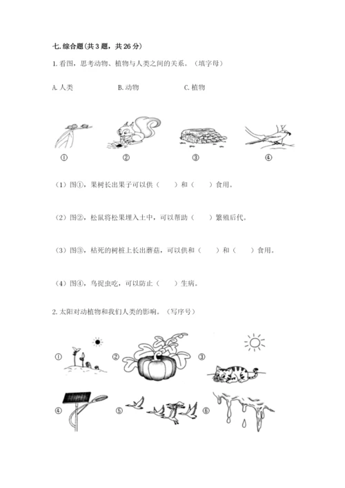 教科版小学二年级上册科学期末测试卷（考点精练）.docx