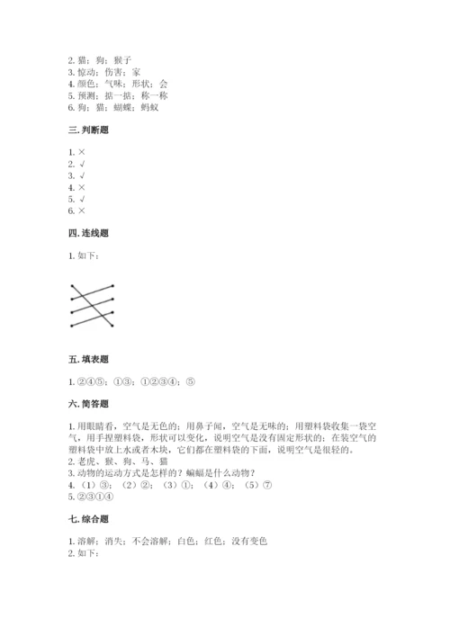 教科版小学科学一年级下册期末测试卷精品【夺冠】.docx
