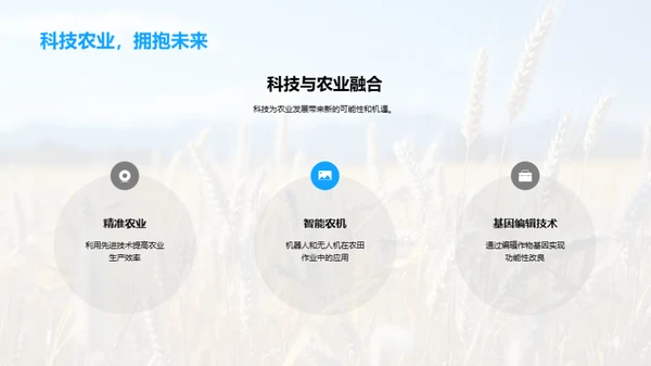 粮食作物创新研究