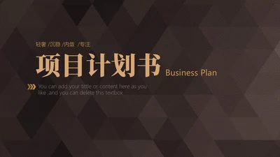 轻奢质感商业项目计划书通用PPT模板