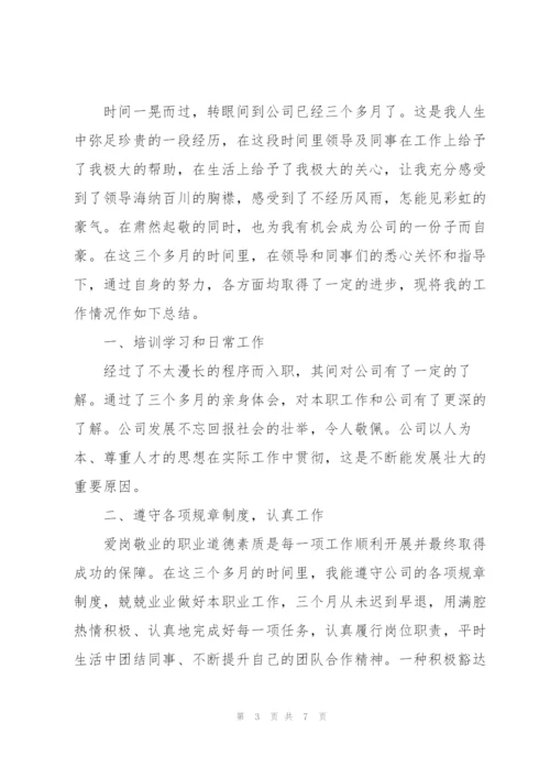 新员工试用期转正工作总结怎么写.docx