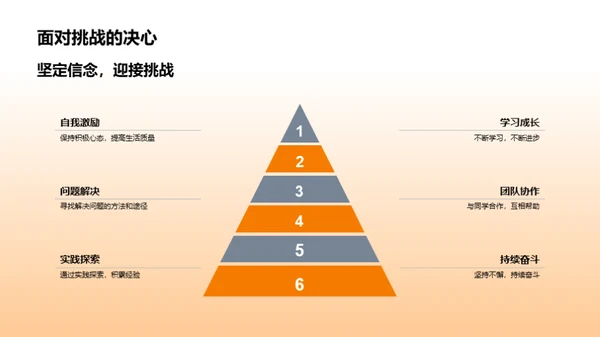 历史专业的探索之路