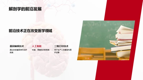 解剖学的医学精要